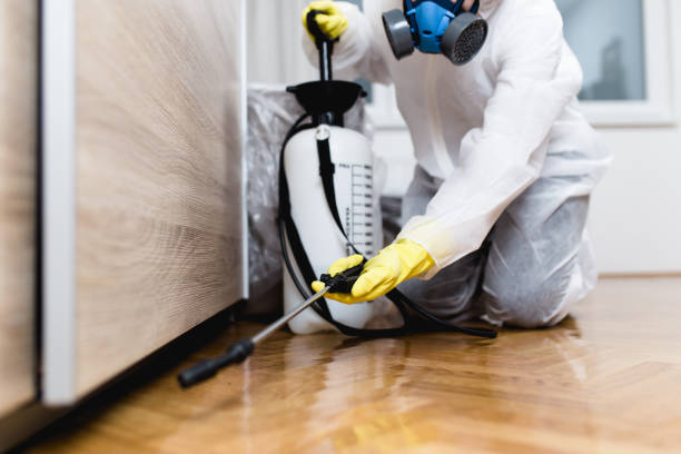 Best Insect Control  in Burnt Mills, MD