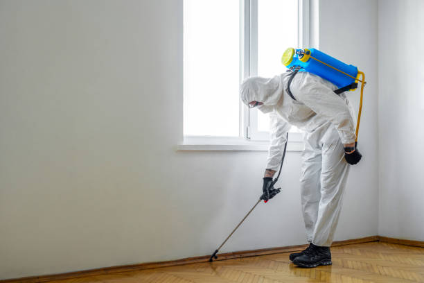 Best Affordable Pest Control Services  in Burnt Mills, MD